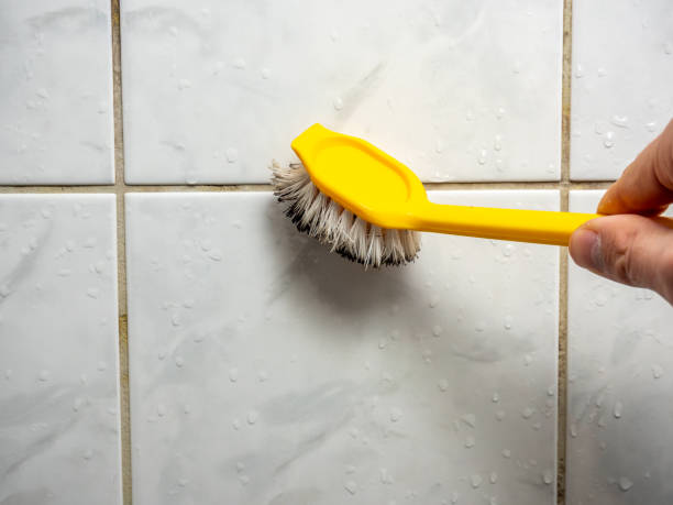Best Commercial Mold Removal  in Estill, SC